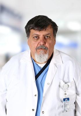 Prof. Dr. Hasan Gökhan AÇIKGÖZ
